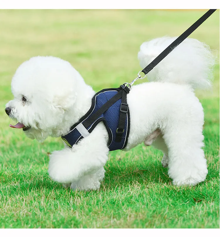 On-the-Go Harness (No-Pull)