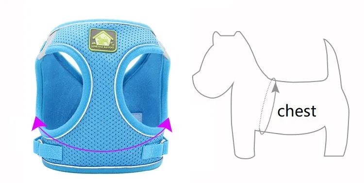 On-the-Go Harness (No-Pull)
