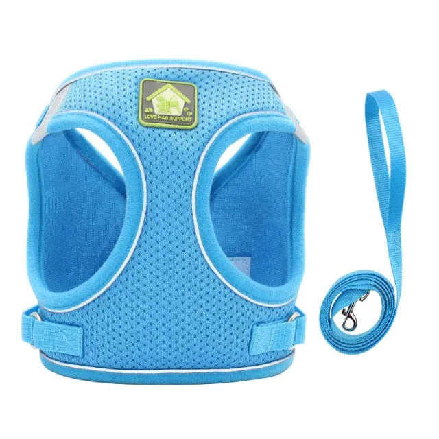 On-the-Go Harness (No-Pull)