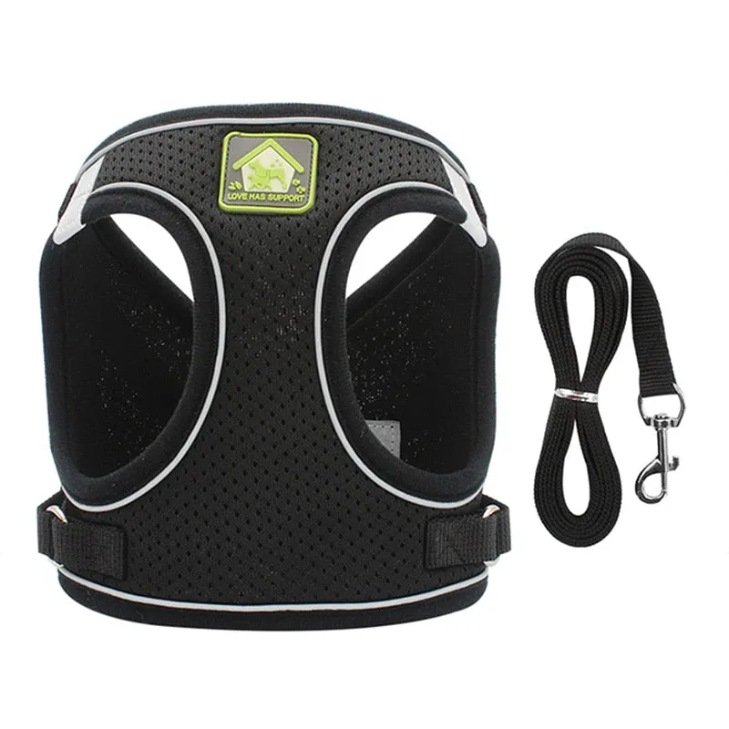 On-the-Go Harness (No-Pull)