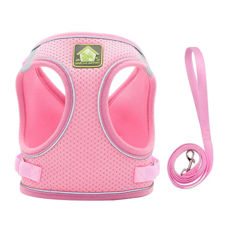 On-the-Go Harness (No-Pull)
