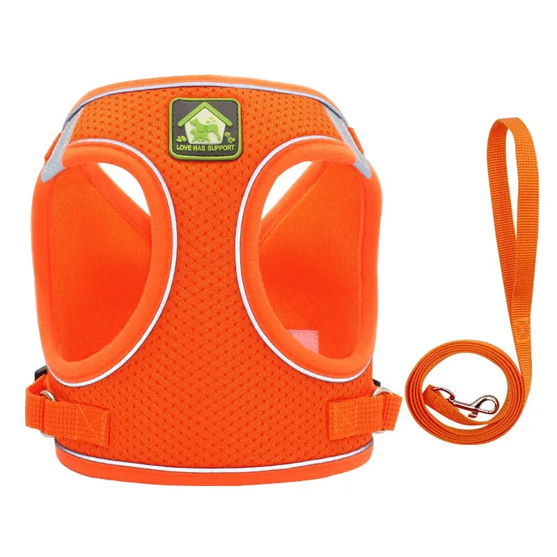 On-the-Go Harness (No-Pull)