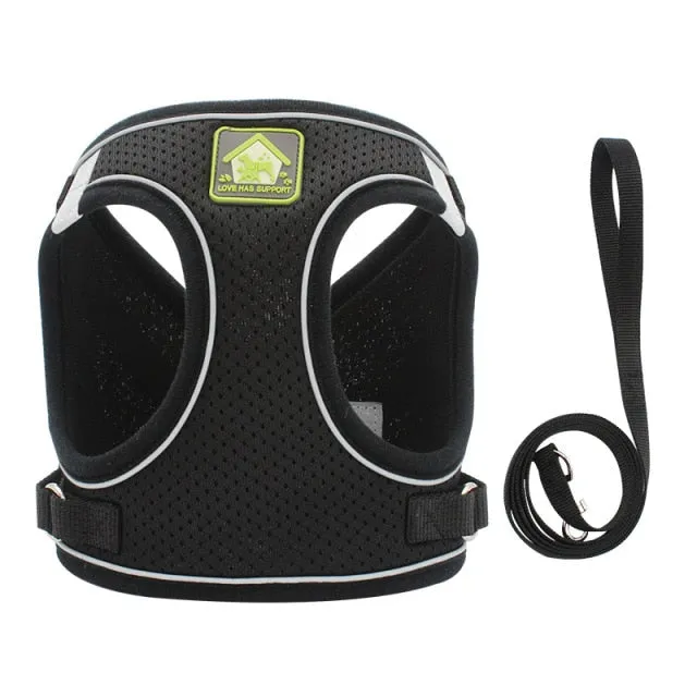 On-the-Go Harness (No-Pull)