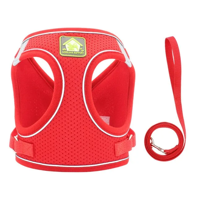 On-the-Go Harness (No-Pull)