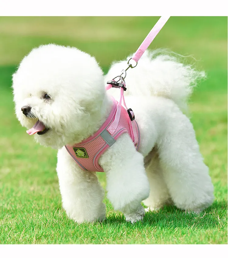On-the-Go Harness (No-Pull)