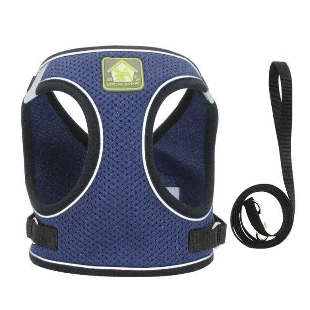 On-the-Go Harness (No-Pull)