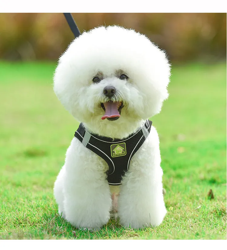 On-the-Go Harness (No-Pull)