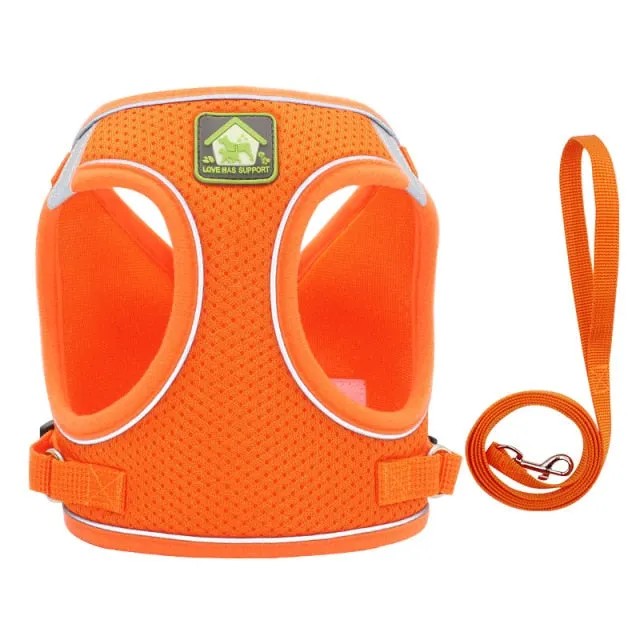 On-the-Go Harness (No-Pull)