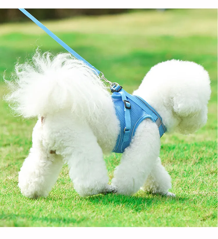 On-the-Go Harness (No-Pull)