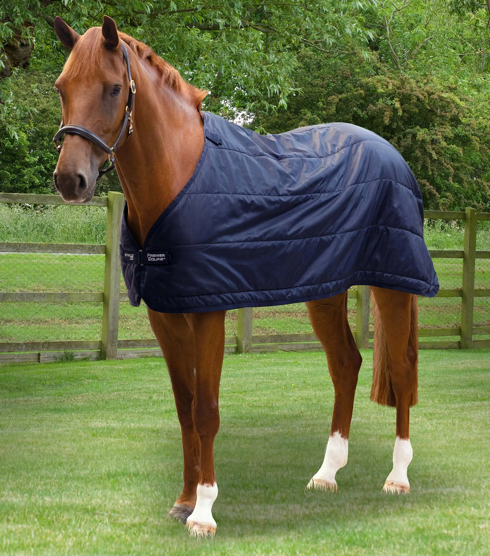 Premier Equine Stratus Rug Liner 300g
